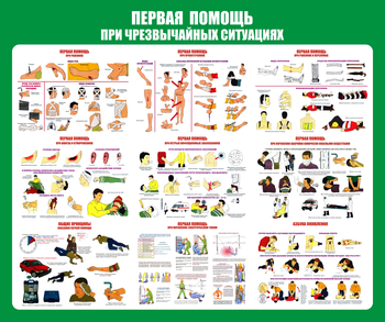 С20-1 Стенд Оказание первой помощи при ЧС (670х800 мм, пластик ПВХ 3 мм, алюминиевый багет золотого цвета) - Стенды - Стенды по первой медицинской помощи - Магазин охраны труда и техники безопасности stroiplakat.ru