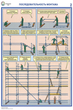 ПС26 Строительные леса (конструкции, монтаж, проверка на безопасность) (ламинированная бумага, А2, 3 листа) - Плакаты - Строительство - Магазин охраны труда и техники безопасности stroiplakat.ru